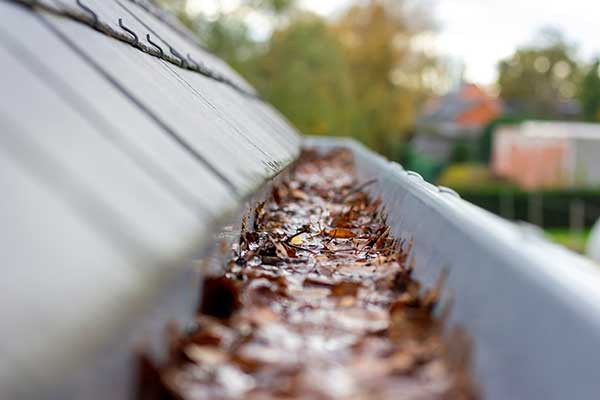 Gutter Guard Installation Services Gutter Guard Installation Services